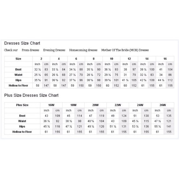 NWT size 16 Lace dress with long mesh skirt Bridesmaid Mother of the Bride Groom - Picture 4 of 13